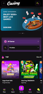 Explore the Thrills of Online Gaming with Casiny1