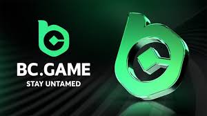 Ultimate BC.Game Guide Strategies to Maximize Your Wins